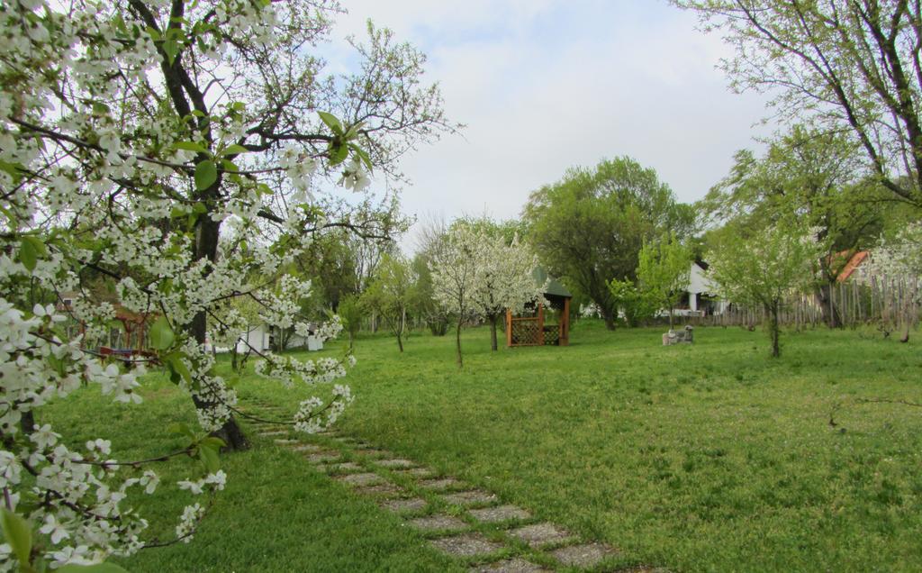 Szigligeti Panorama Apartmanhaz Buitenkant foto