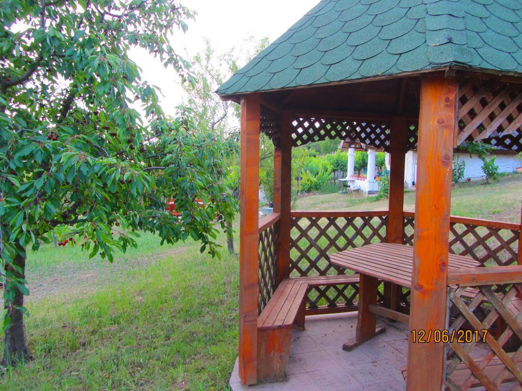 Szigligeti Panorama Apartmanhaz Buitenkant foto
